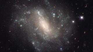 A Hubble Space Telescope image of the galaxy UGC 9391, one of the galaxies in the new survey