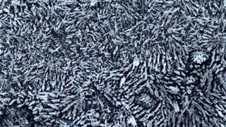 Frost patterns