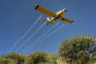 A low-flying light aircraft sprays vegetation below it.