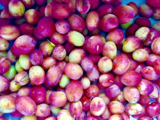 Plums
