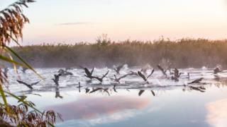Broads National Park
