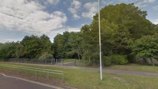 Sherborn open space