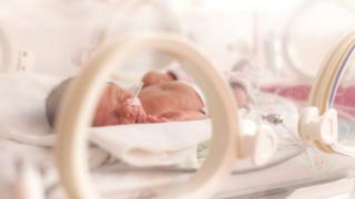 Nutrient supplement ‘boosts growth of breastfed premature babies’