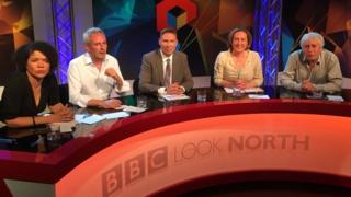 The EU panel