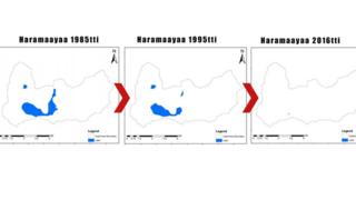 Haramaayaa baroota 1980 hanga 2016tti