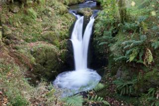 Autumnal setting of Dollar Glen
