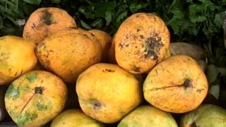 Make sure say you wash your fruit well-well