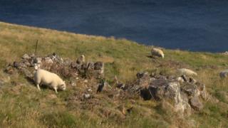 Bun Ilidh