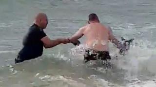 Полицейские спасают кенгуру на пляже безопасности, Виктория