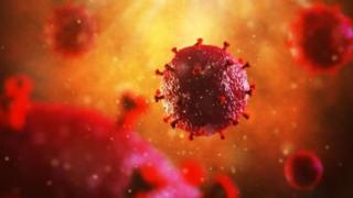 HIV tidak lagi terdeteksi di tubuh pasien setelah pencangkokan.