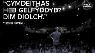 sgrech gwynedd