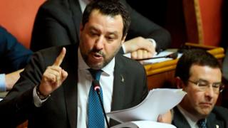 salvini