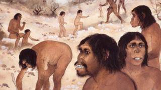 Comunidad de Homo habilis