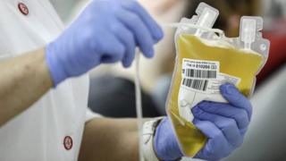 A lab worker holding a bag of plasma