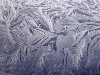 Frost Feathers
