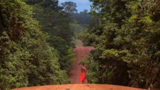 High earners were persuaded to invest in projects focused on reforesting areas of Brazil