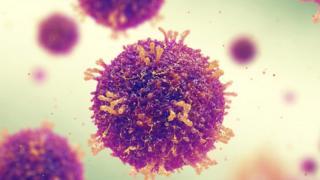 Sarampo faz corpo 'esquecer' como combater infecções, dizem cientistas Sarampo faz corpo 'esquecer' como combater infecções, dizem cientistas