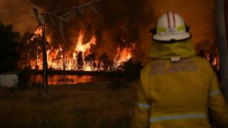 New South Wales fire officers watch on as the Gospers Mountain Fire impacts the Bilpin Fruit Bowl in Bilpin