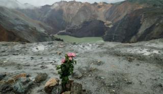 Flores en la mina