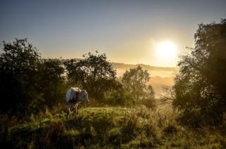 Sunrise over fields