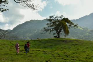 Paseo