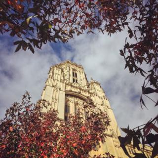Wills Memorial Building, Bristol
