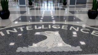 Борбордук чалгын кызматынын өкүлдөрү жана британдык расмийлер Wikileaks жарыялаган документтер боюнча комментарий берүүдөн баш тартты.