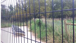 Wetland at Castle Archdale caravan park
