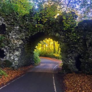 Autumnal trees seen through a stone arch