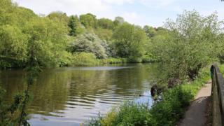 The River Tees near Yarm