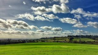 Badley Woods