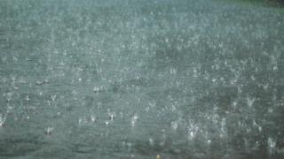 Rain.