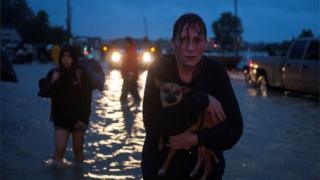 Женщина держит свою собаку, когда она выходит на возвышенность после того, как покинула свой дом из-за наводнения, вызванного тропическим штормом Харви в восточном Хьюстоне.