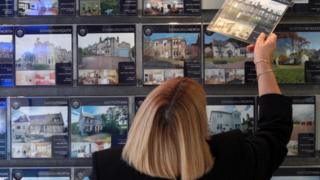 Estate agent window