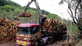 Forestry commission