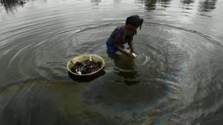 Oil polluted river
