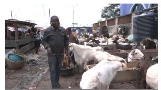Ọja Agbo fun Ileya
