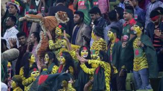 গ্যালারিতে অনেকেই এসেছিলেন বাঘের প্রতিকৃতি সেজে