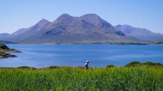 Barley trial on Raasay