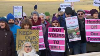 Protestors