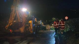 Digger and men looking at fallen tree