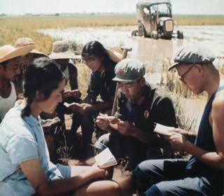 Chinese peasants study in 1971 somewhere in China the copies of Mao Zedong "Little Red Book". Mao, who was Chairman of the Chinese Communist Party (CCP) from 1935 until his death in 1976, launched in 1966 the "Great Proletarian Cultural Revolution", directed against those CCP "party leaders taking the capitalist road". Mao"s shock troops were to be the Red Guards, principally middle-school and university students who were to draw inspiration from Mao himself-now supreme authority in all matters. (Photo credit should read AFP/Getty Images)