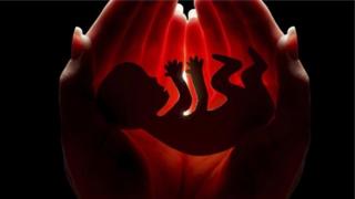 పిండానికి జీవించే హక్కుందా?