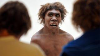 Por que foi o azar, e não a ação do 'Homo sapiens', que acabou com os neandertais Por que foi o azar, e não a ação do 'Homo sapiens', que acabou com os neandertais