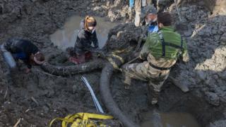 Tusks found