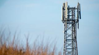 A mobile phone mast pokes above some brown grasses under a blue sky