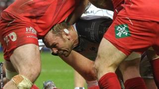 scarlets gweilch