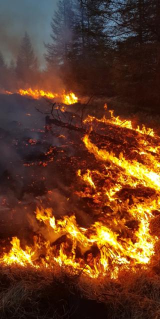 Loch Doon grass fire