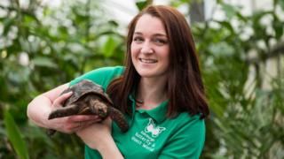 Huck the tortoise