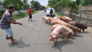 babi